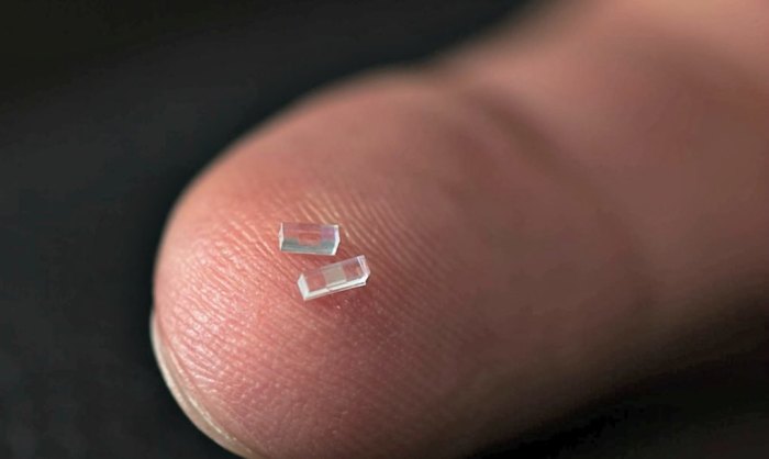 Will linus new chip revolutionize e commerce