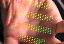 Will linus new chip revolutionize e commerce