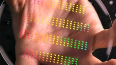 Will linus new chip revolutionize e commerce