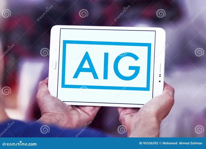 Aig unveils e commerce insurance plans