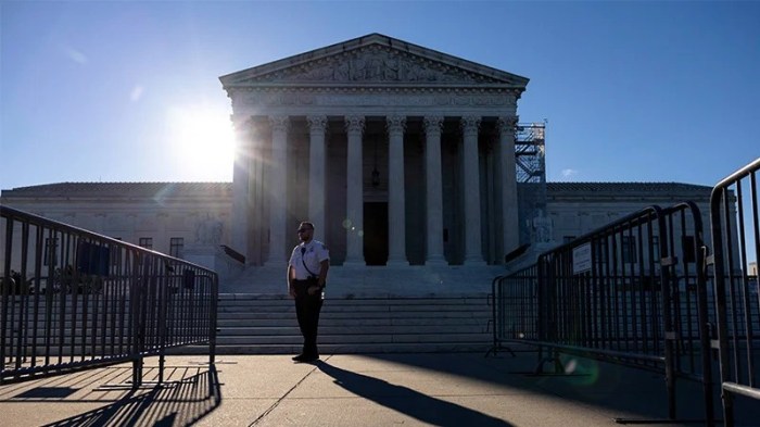 Supreme court upholds network solutions domain fees