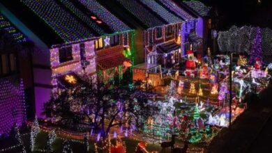 Bush web site rated highest despite fundraising shortfall