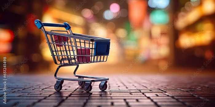 Online mall to offer single shopping cart