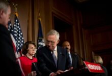 Congress looks to slow internet gun sales