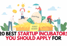 E incubators paving the way for startups