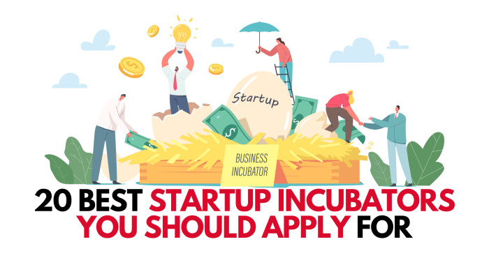 E incubators paving the way for startups