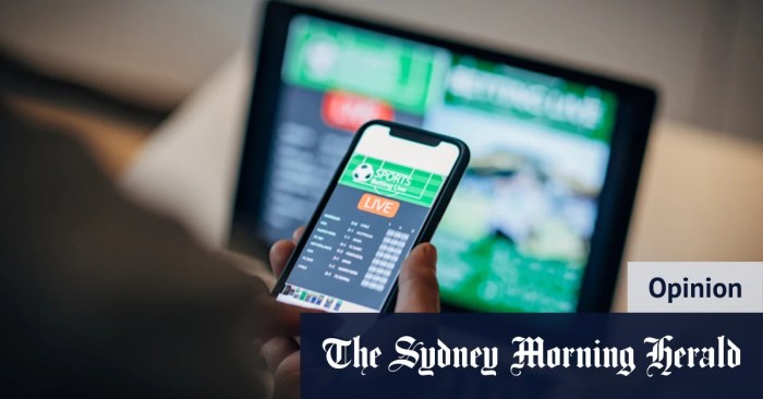 Gambling risks addiction dangers Online gambling thrives as u s government fiddles