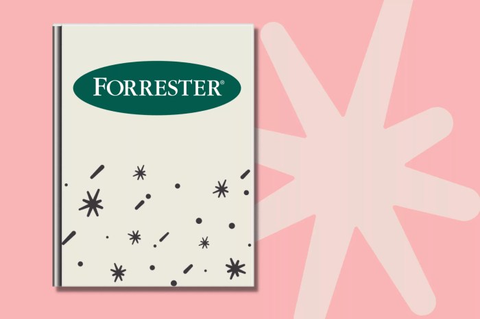 Forrester joins web site rating game