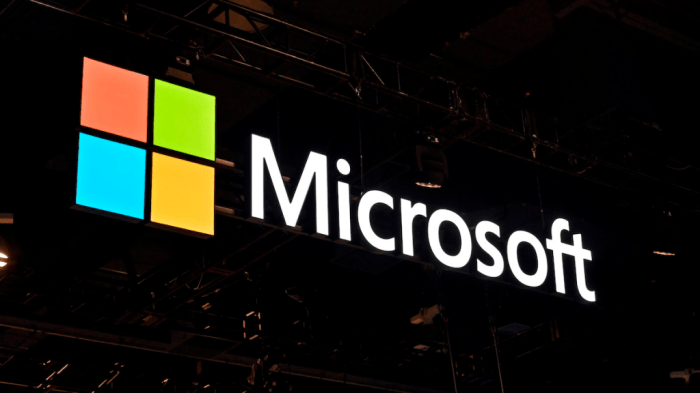 Will microsoft ever settle