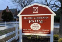 Allaire accelerates e commerce linux strategy