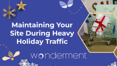 Online holiday traffic up despite mixed reviews