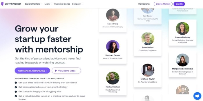 E godfathers nurture online startups