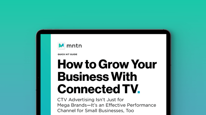 E businesses plugging into power of tv