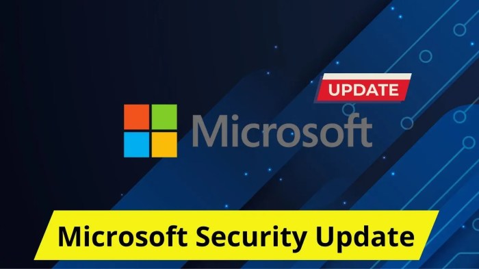 Microsoft puts patch on server security holes