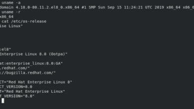 Computer associates ups red hat linux security level