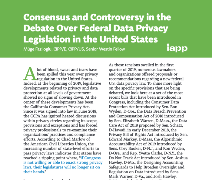 Consensus and Controversy in the Debate Over US Federal Data Privacy ... U s government agencies hear online privacy debate