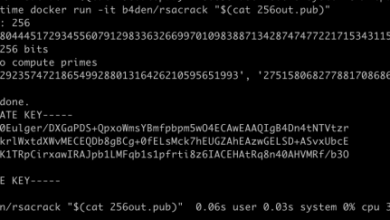 Crackers cripple rsa server twice