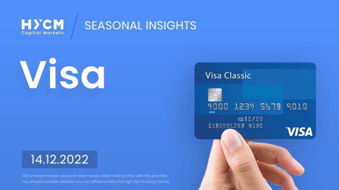 Visa reports holiday online shopping was a hit