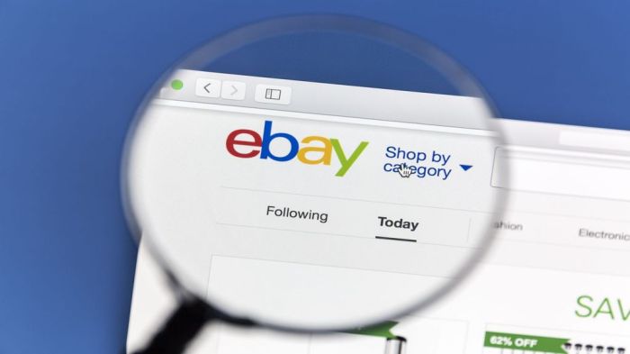 Is ebay right to ban third party search engines