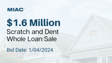 Loans com domain auction fetches record 3m