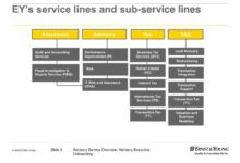Ernst young internet taxation can wait