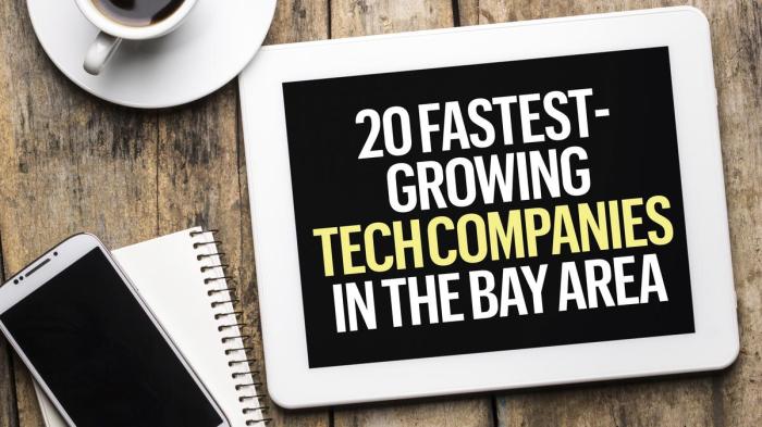 Fastest growing tech firms call internet home