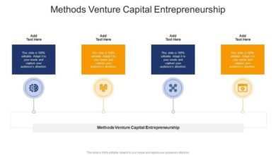Stunt or strategy company seeks venture capital on ebay