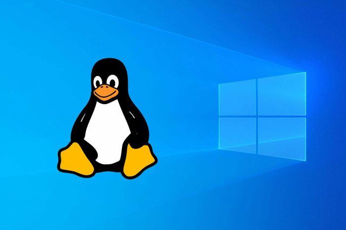 New linux sites launch amid microsoft troubles
