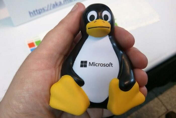 New linux sites launch amid microsoft troubles