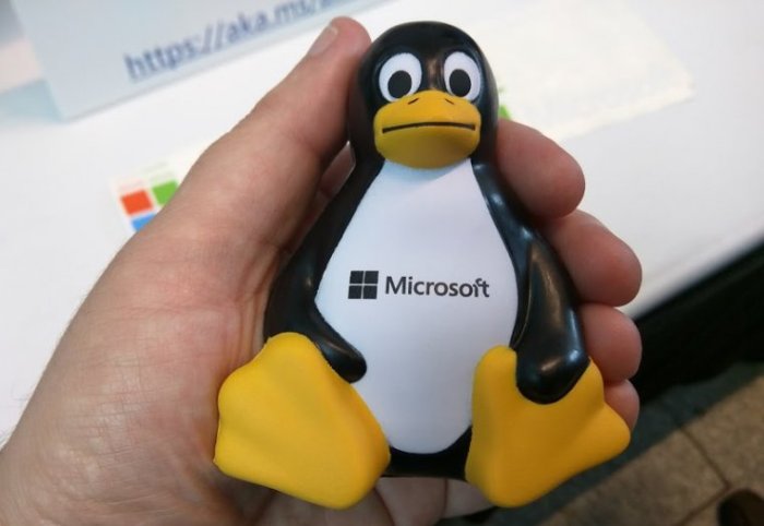 New linux sites launch amid microsoft troubles