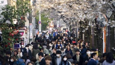 Report japan net users too lax on security