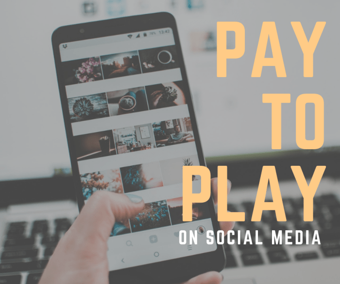 Pay for play site debuts to mixed reception