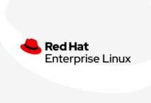 Will red hats ipo help push linux