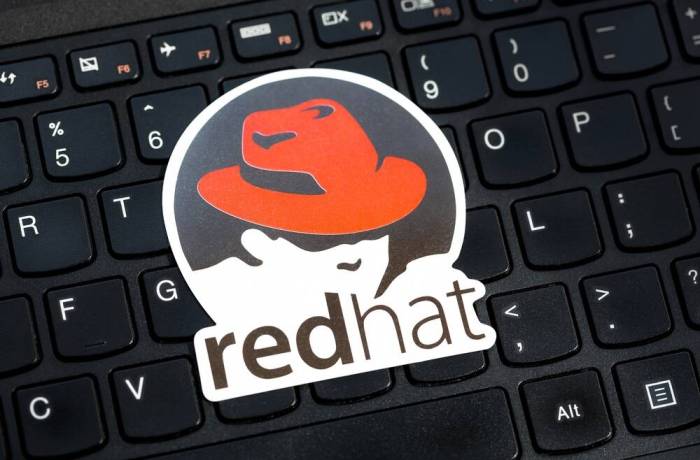 Computer associates expands red hat linux relationship