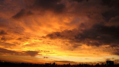 Will microsoft see the sun rise