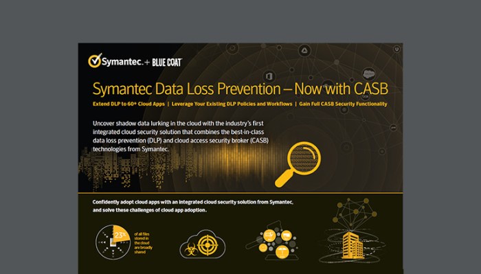 Ibm symantec team up to battle melissa