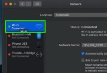 Speeding the net with explorer 5 0