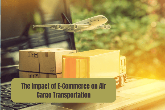 Lycos takes e commerce to the skies
