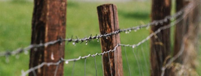 Going global roadblocks to revenues