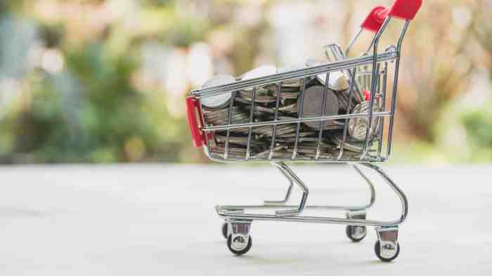 Gotoworld com launches shopping dividend program
