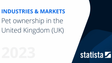 Uk pet site draws international investment