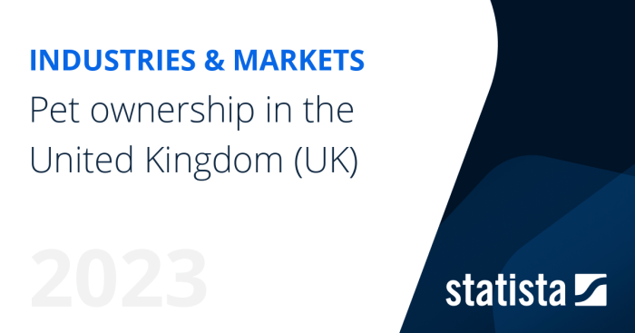Uk pet site draws international investment