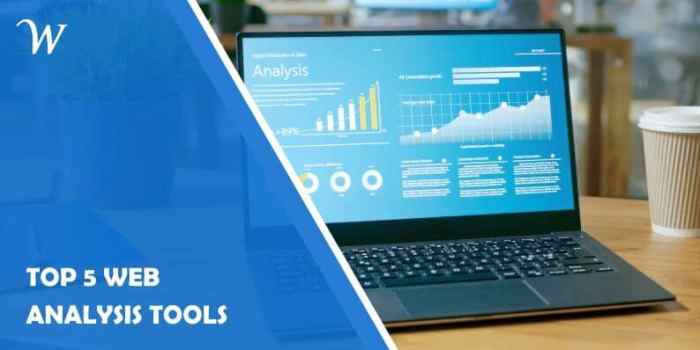 Plenty Go2net and mycomputer com to offer site analysis tools