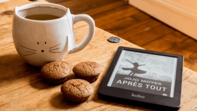 Microsoft misses boat with ebooks