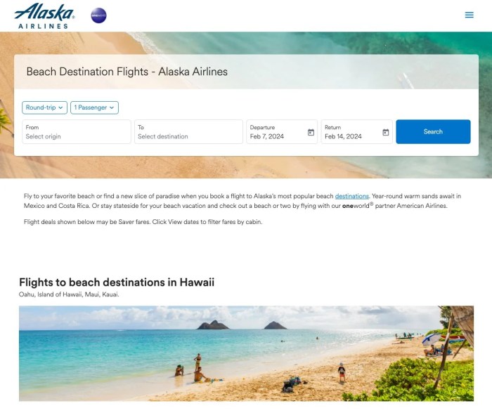 Airlines band together to launch travel site