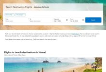 Airlines band together to launch travel site