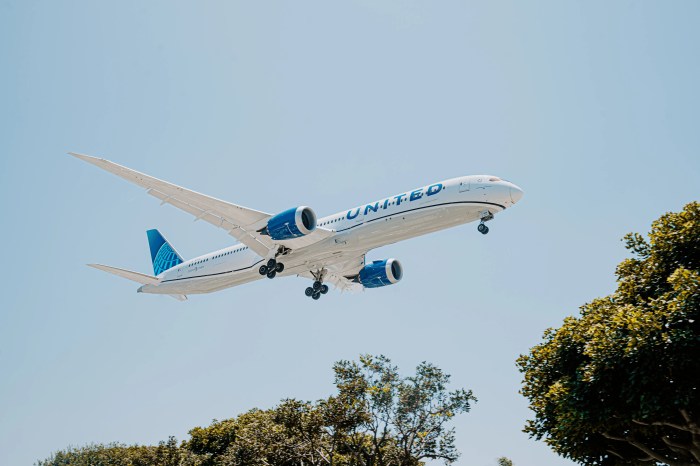 United airlines expands e commerce operations